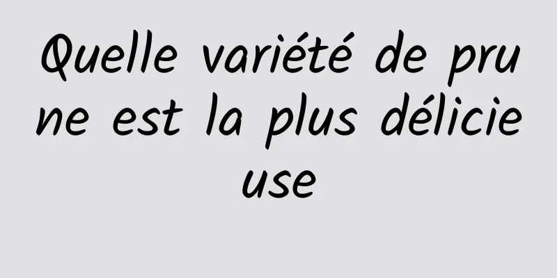 Quelle variété de prune est la plus délicieuse