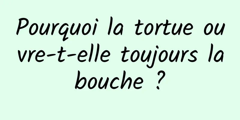 Pourquoi la tortue ouvre-t-elle toujours la bouche ? 