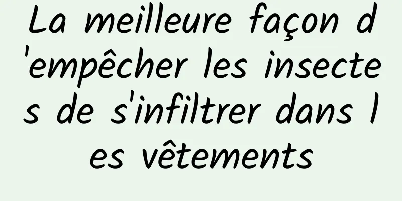 La meilleure façon d'empêcher les insectes de s'infiltrer dans les vêtements