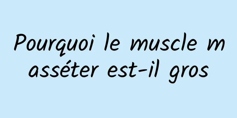 Pourquoi le muscle masséter est-il gros