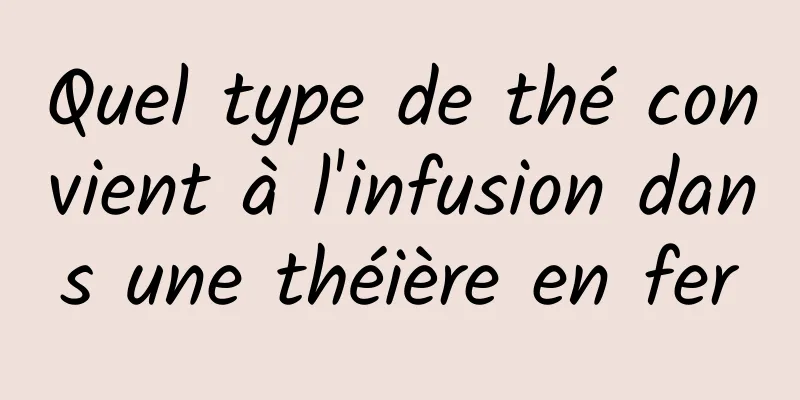 Quel type de thé convient à l'infusion dans une théière en fer