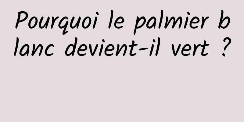 Pourquoi le palmier blanc devient-il vert ? 