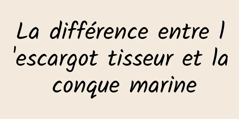 La différence entre l'escargot tisseur et la conque marine