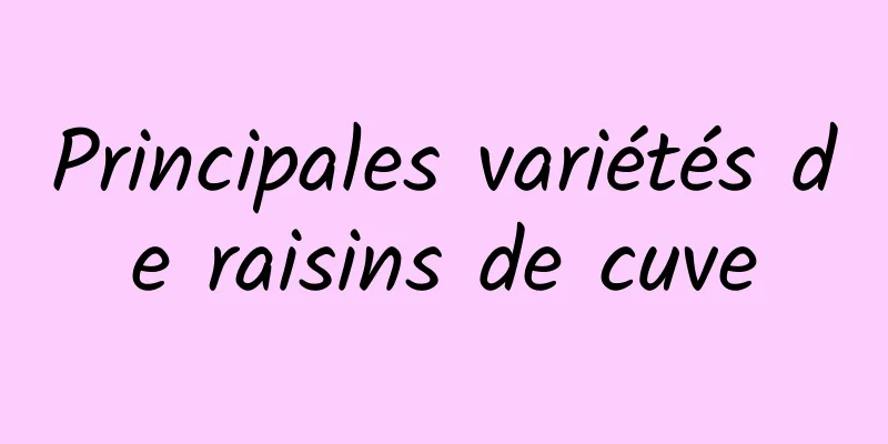 ​Principales variétés de raisins de cuve