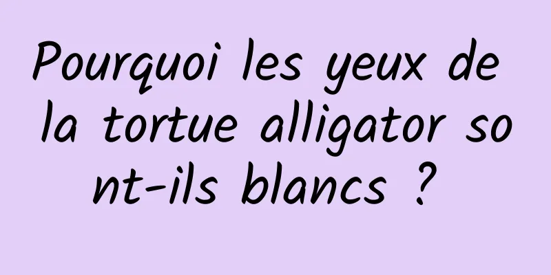 Pourquoi les yeux de la tortue alligator sont-ils blancs ? 