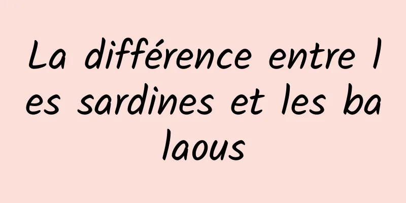 La différence entre les sardines et les balaous