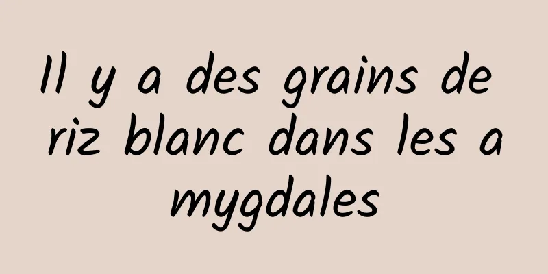 Il y a des grains de riz blanc dans les amygdales