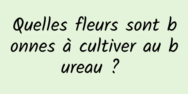 Quelles fleurs sont bonnes à cultiver au bureau ? 