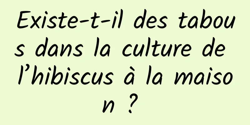 Existe-t-il des tabous dans la culture de l’hibiscus à la maison ? 