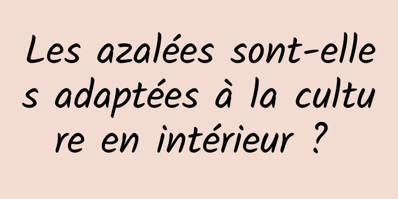 Les azalées sont-elles adaptées à la culture en intérieur ? 