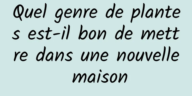 Quel genre de plantes est-il bon de mettre dans une nouvelle maison