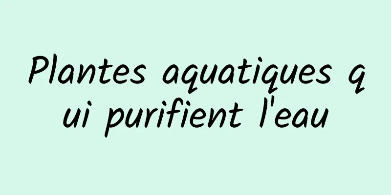 Plantes aquatiques qui purifient l'eau