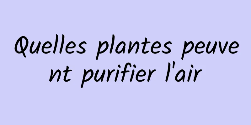 Quelles plantes peuvent purifier l'air