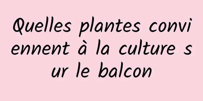 Quelles plantes conviennent à la culture sur le balcon