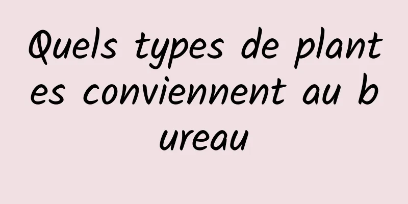 Quels types de plantes conviennent au bureau