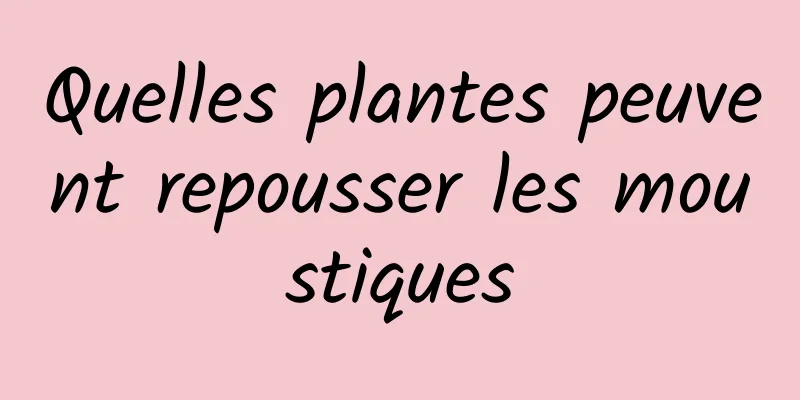 Quelles plantes peuvent repousser les moustiques