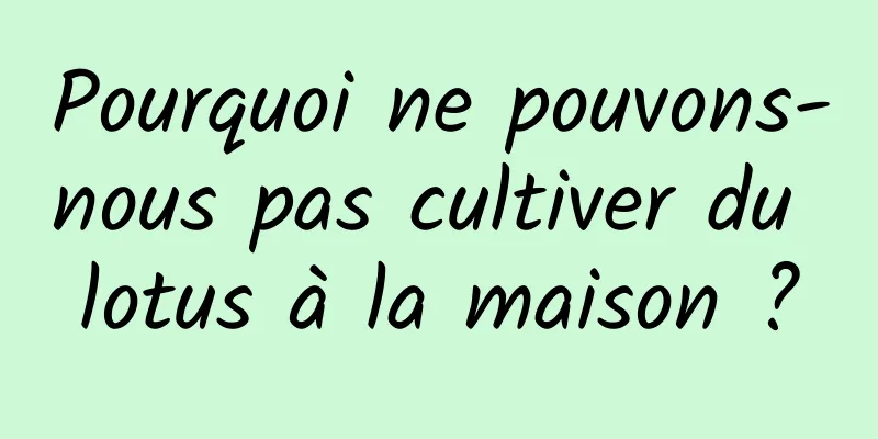 Pourquoi ne pouvons-nous pas cultiver du lotus à la maison ?