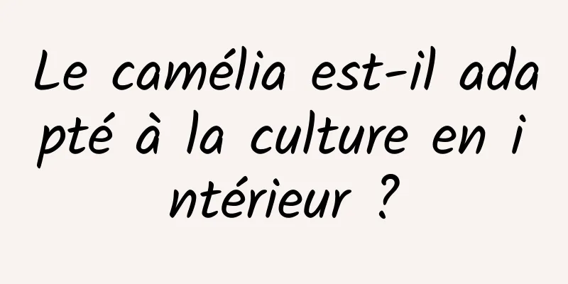 Le camélia est-il adapté à la culture en intérieur ?