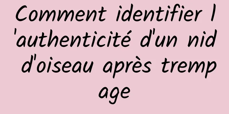 Comment identifier l'authenticité d'un nid d'oiseau après trempage