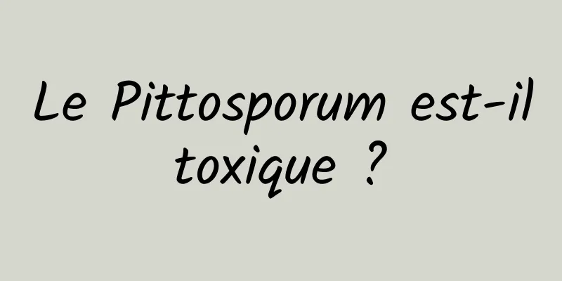 Le Pittosporum est-il toxique ? 