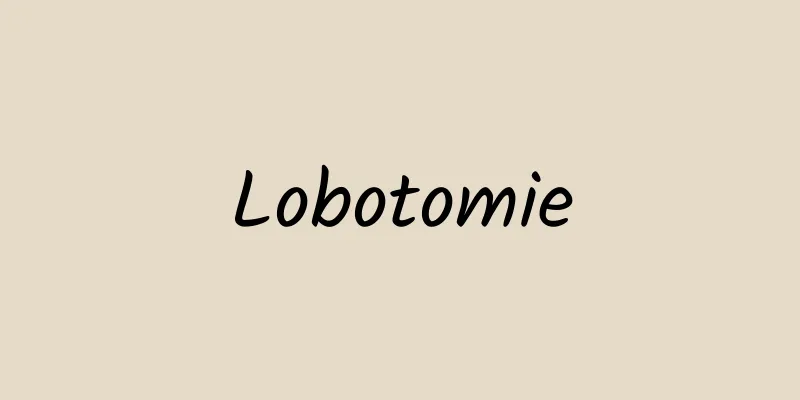 Lobotomie