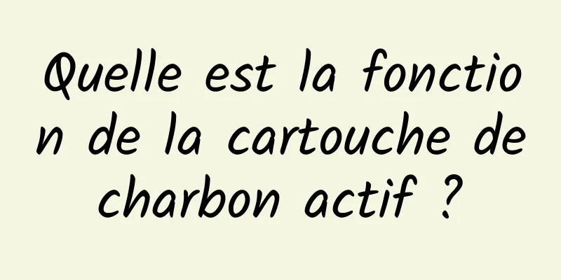 Quelle est la fonction de la cartouche de charbon actif ? 