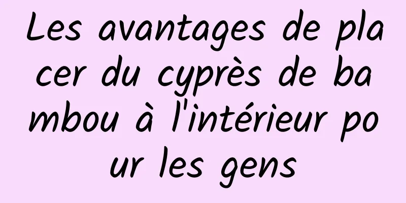 Les avantages de placer du cyprès de bambou à l'intérieur pour les gens