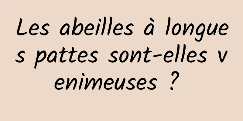 Les abeilles à longues pattes sont-elles venimeuses ? 