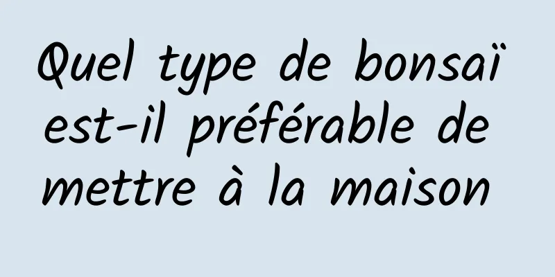 Quel type de bonsaï est-il préférable de mettre à la maison 