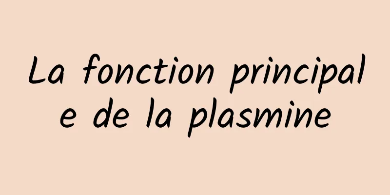 La fonction principale de la plasmine