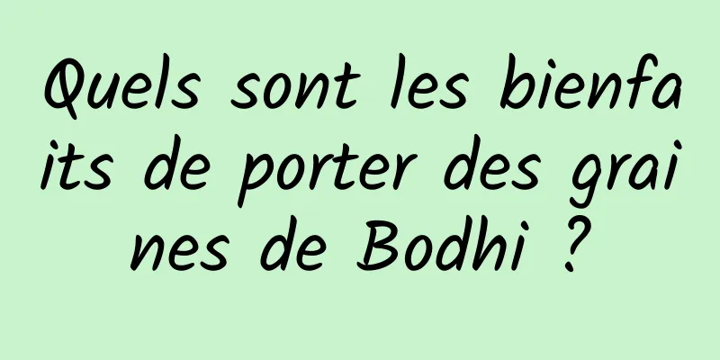 Quels sont les bienfaits de porter des graines de Bodhi ?