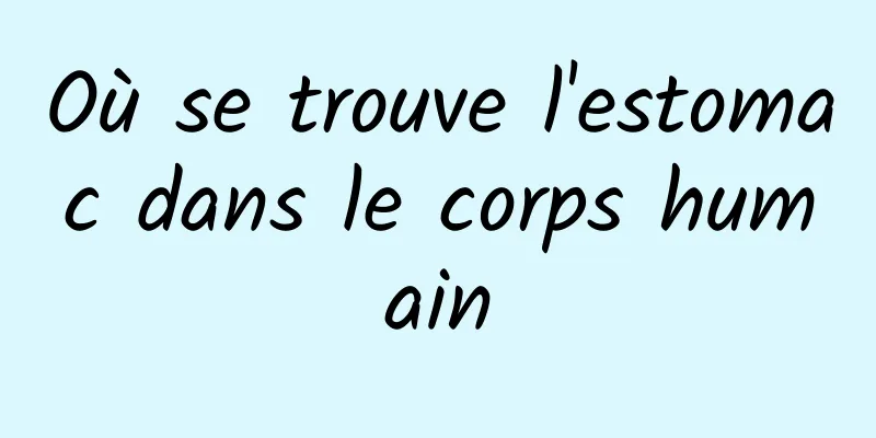 Où se trouve l'estomac dans le corps humain