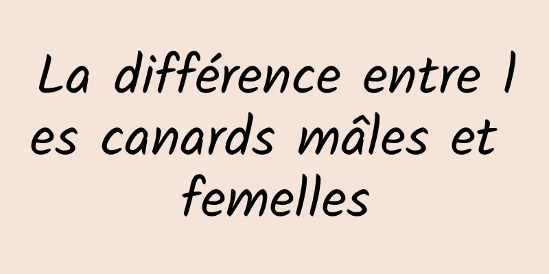 La différence entre les canards mâles et femelles