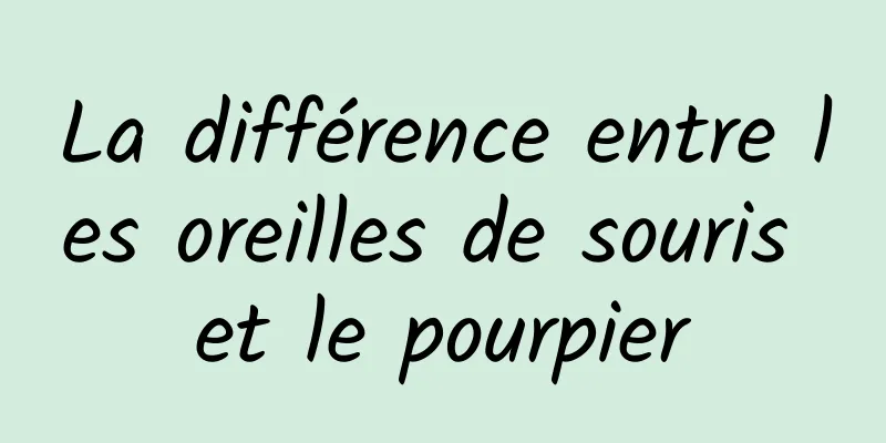 La différence entre les oreilles de souris et le pourpier