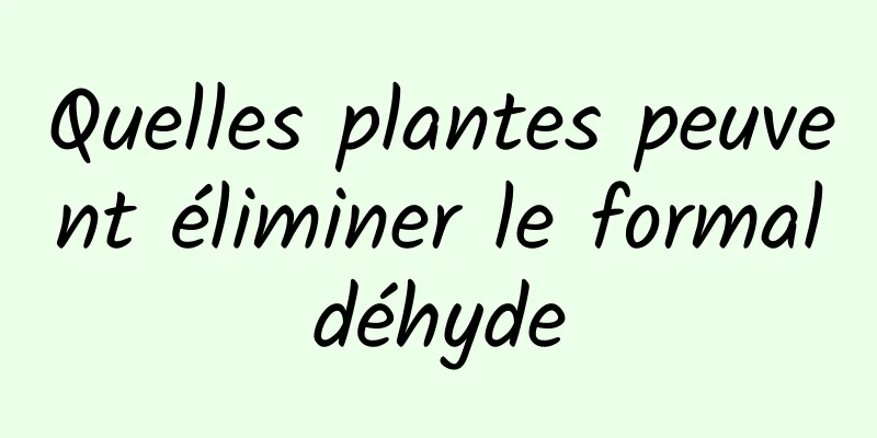 Quelles plantes peuvent éliminer le formaldéhyde