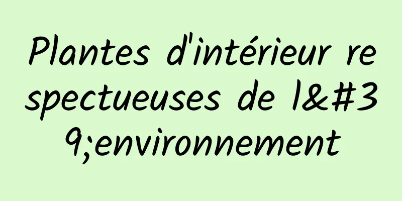 Plantes d'intérieur respectueuses de l'environnement