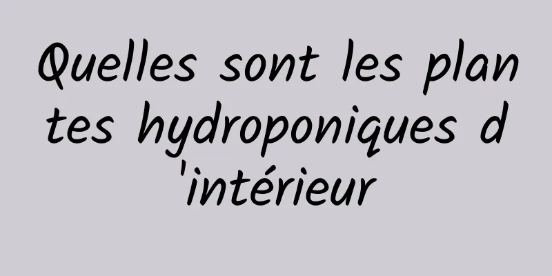 Quelles sont les plantes hydroponiques d'intérieur