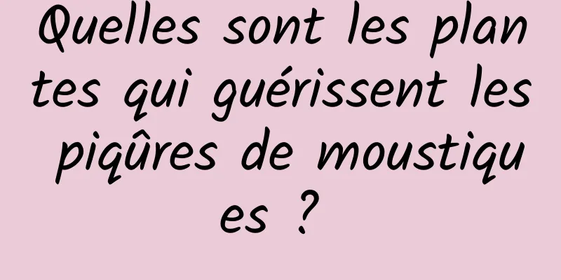 Quelles sont les plantes qui guérissent les piqûres de moustiques ? 