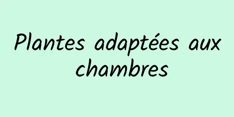 Plantes adaptées aux chambres