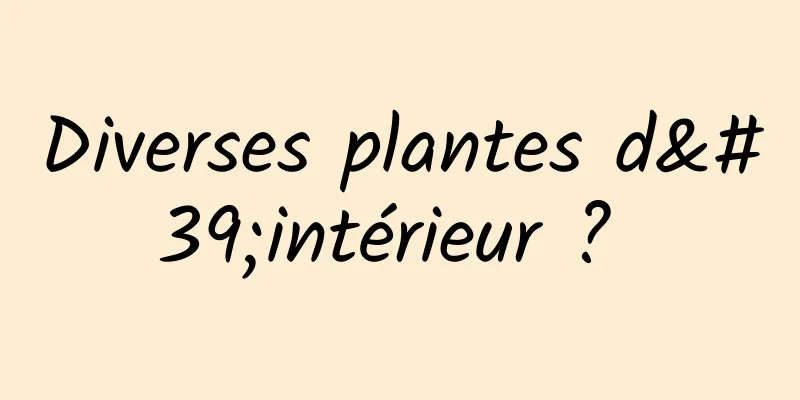 Diverses plantes d'intérieur ? 