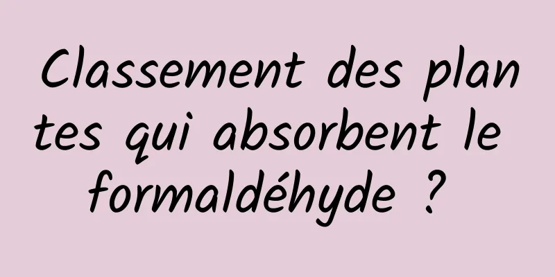 Classement des plantes qui absorbent le formaldéhyde ? 