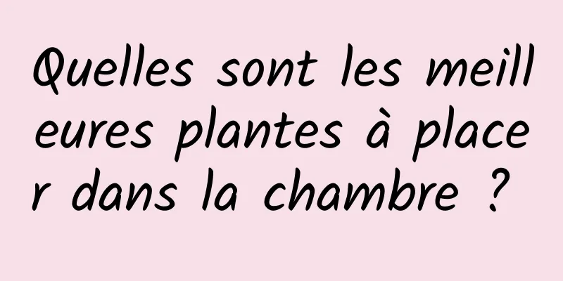 Quelles sont les meilleures plantes à placer dans la chambre ? 