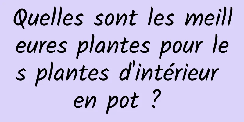 Quelles sont les meilleures plantes pour les plantes d'intérieur en pot ? 