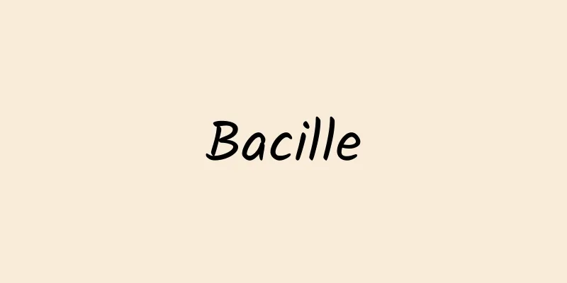 Bacille