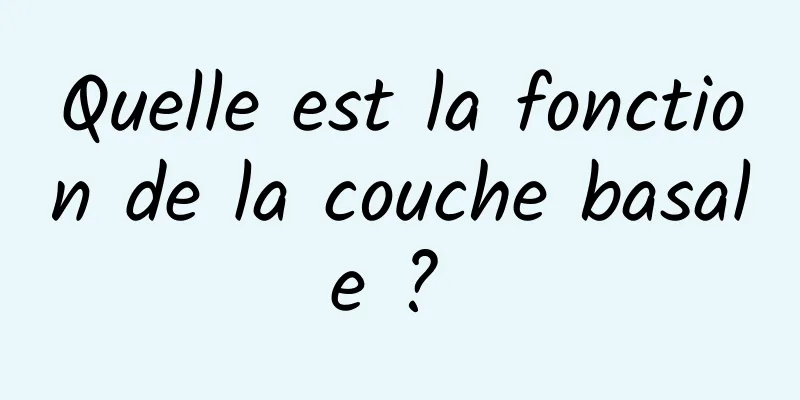 Quelle est la fonction de la couche basale ? 