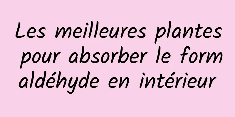 Les meilleures plantes pour absorber le formaldéhyde en intérieur