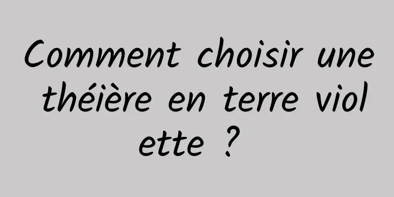 Comment choisir une théière en terre violette ? 