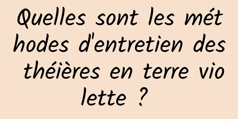 Quelles sont les méthodes d'entretien des théières en terre violette ? 