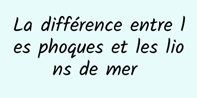 La différence entre les phoques et les lions de mer 