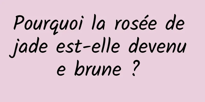 Pourquoi la rosée de jade est-elle devenue brune ? 